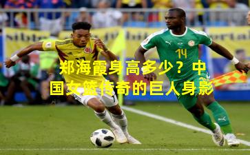 郑海霞身高多少？中国女篮传奇的巨人身影