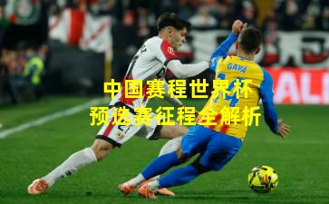 中国赛程世界杯预选赛征程全解析