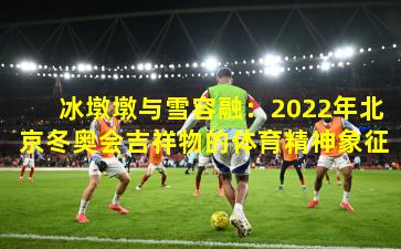 冰墩墩与雪容融:2022年北京冬奥会吉祥物的体育精神象征
