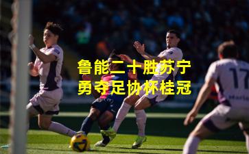 鲁能二十胜苏宁勇夺足协杯桂冠